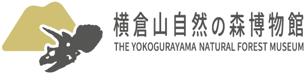 越知町立横倉山自然の森博物館