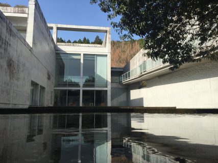 博物館の水庭　－横倉山の貴重な水たまり－