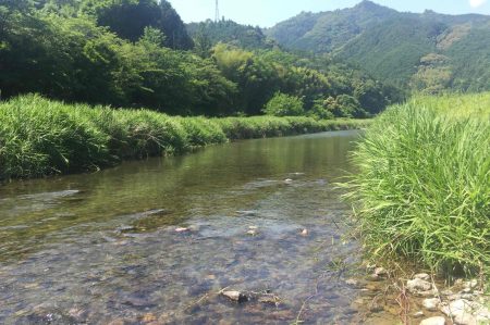 【受付中】7/17  横倉山の生きもの調べ「坂折川の魚」