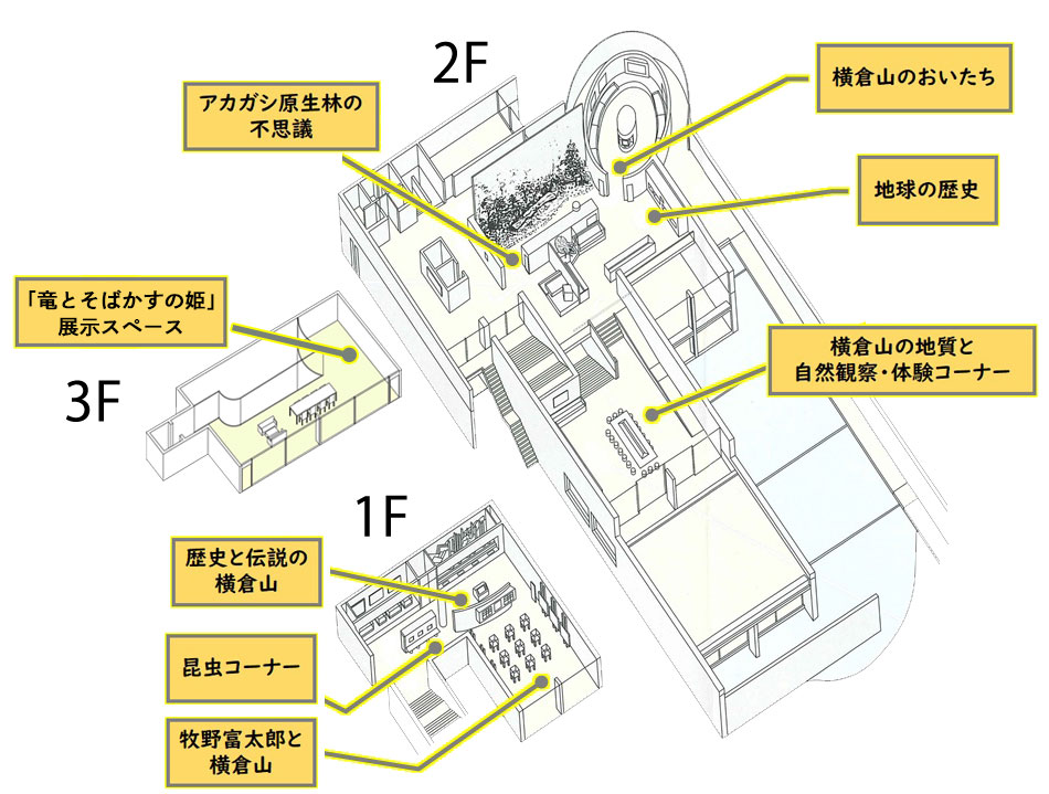 展示室見取り図