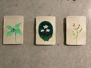 ✿竹山美紀ボタニカルアート展✿