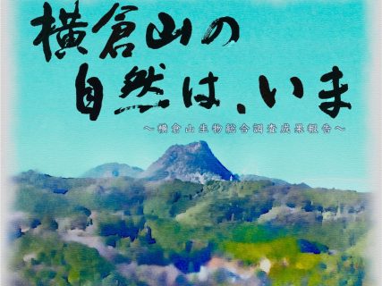 企画展「横倉山の自然は、いま　～横倉山生物総合調査成果報告～」
