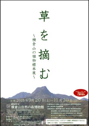 企画展のご案内