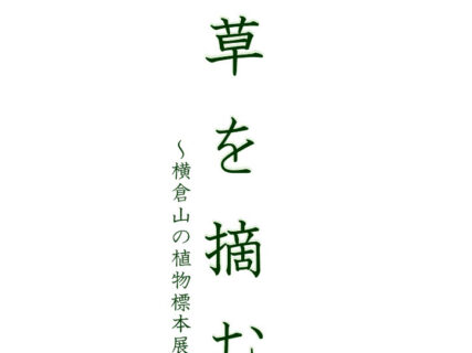 9/20～11/30  企画展「草を摘む～横倉山の植物標本展～」