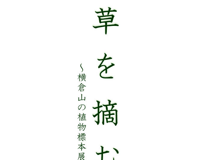 草を摘む～横倉山の植物標本展～