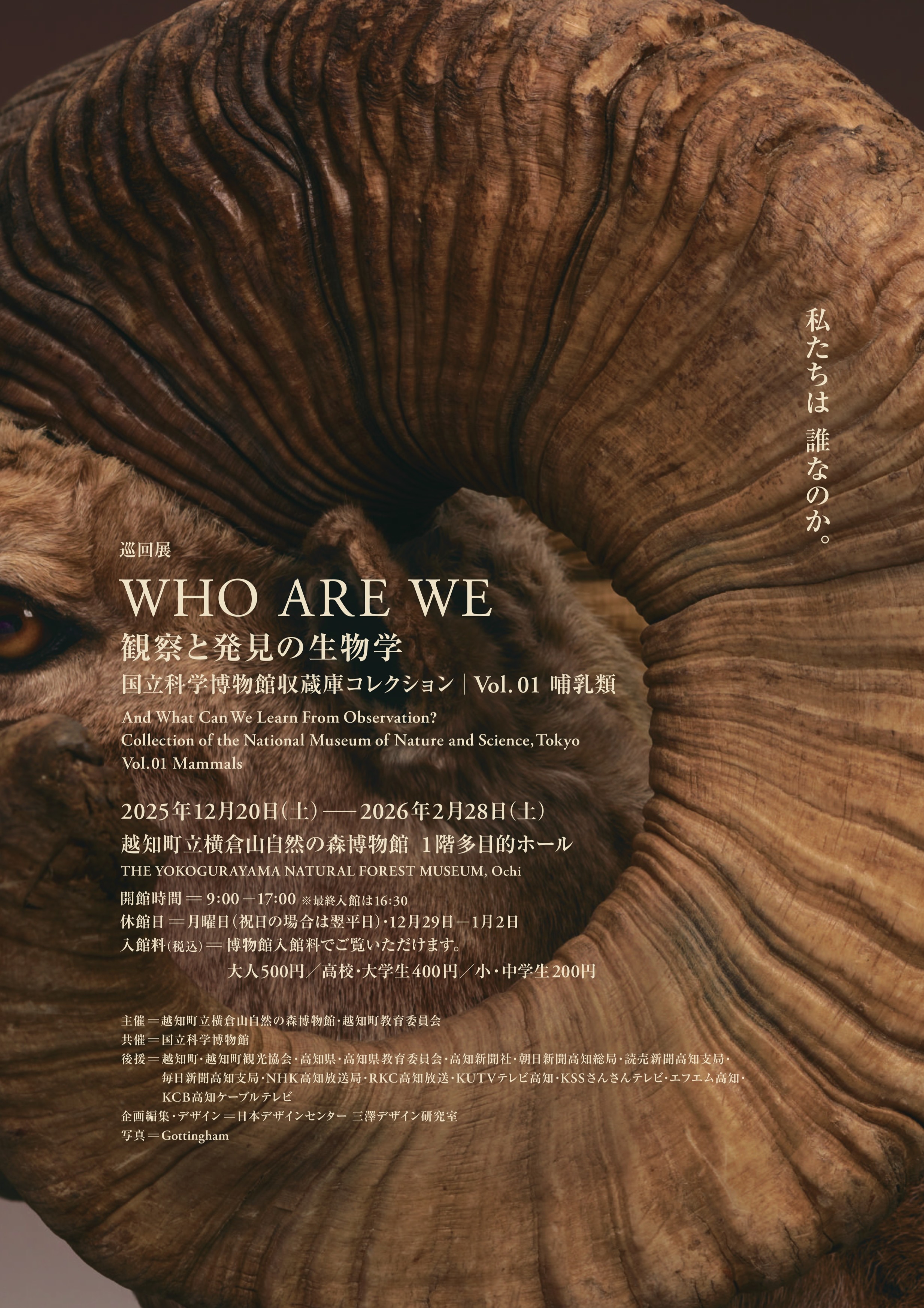 企画展のご案内