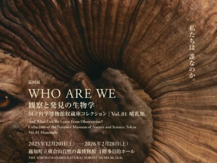 12/20～2/28  企画展：国立科学博物館巡回展「WHO ARE WE 観察と発見の生物学」