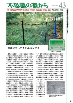 機関誌「不思議の森から」 - 越知町立横倉山自然の森博物館 機関誌「不思議の森から」 - 越知町立横倉山自然の森博物館